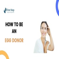 How to be an egg donor  First step surrogacy